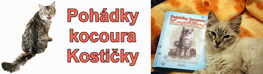 Pohádky kocoura Kostičky