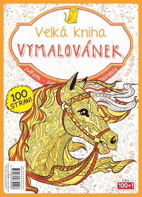 Velká kniha vymalovánek - oranžová