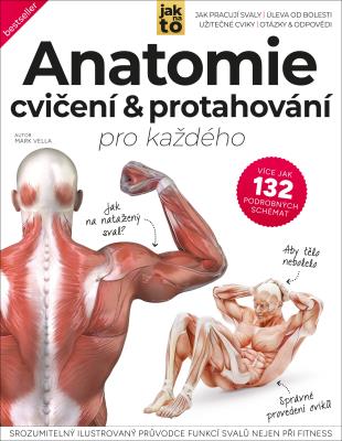 Anatomie cvičení & protahování pro každého